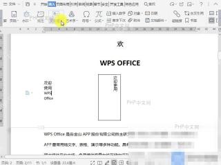 Word如何插入多行文字类型的文本框?详细方法