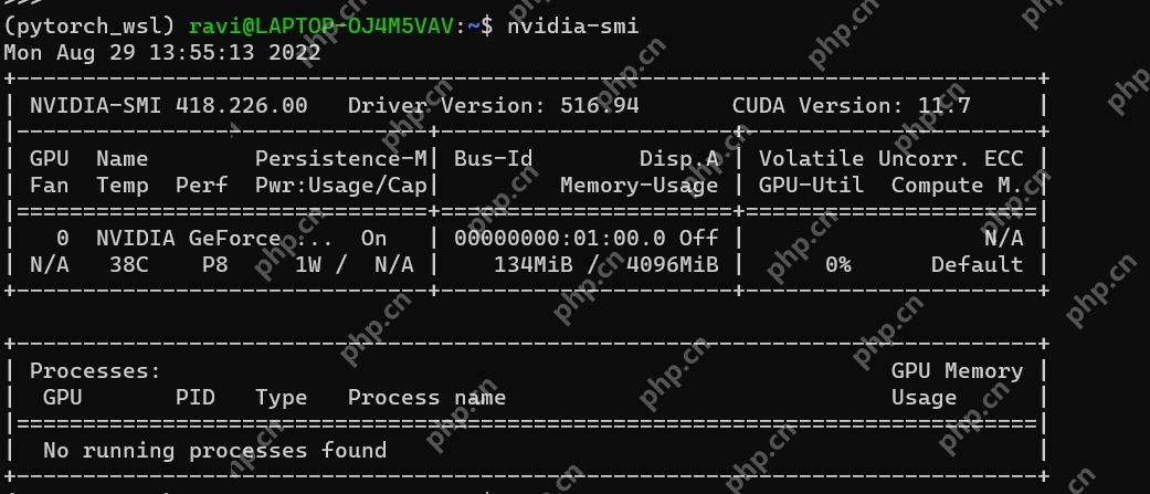 Linux 终端显示 nvidia-smi GPU 计算环境信息