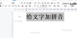 Word如何给文字加拼音? 选中中文文字