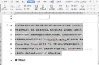 WPS如何给文档添加行号？结果检查