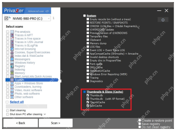 PrivaZer System 下 Thumbnails & Icons Cache 项被标出。