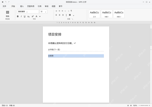 模拟 WPS 文字完整界面：多余的手动分页符单独处理