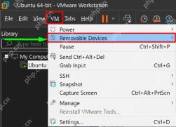 VMware Workstation VM 菜单中 Removable Devices 入口用于连接 USB 设备