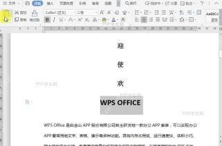 WPS如何对文档内容进行选择性粘贴?中间操作