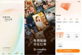 红果短剧会员页面中的看剧免广告权益