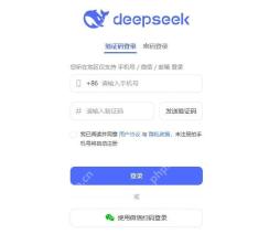 DeepSeek网页版验证码登录界面
