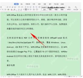 如何批量删除WPS文档中的空白段，WPS空白段删除