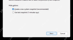 Total Uninstall Windows 监控安装向导底部 Next 和 Cancel 按钮区域。