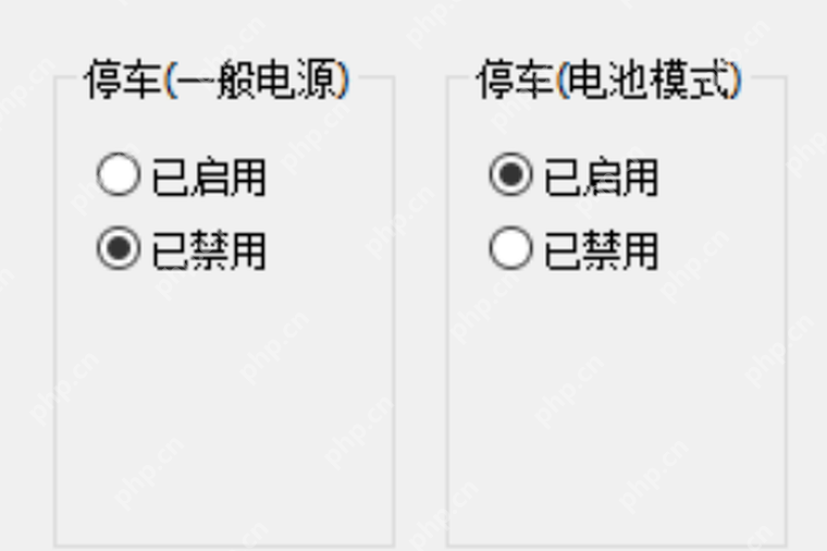 ParkControl 中文界面显示停放一般电源和停放电池模式两个独立栏位