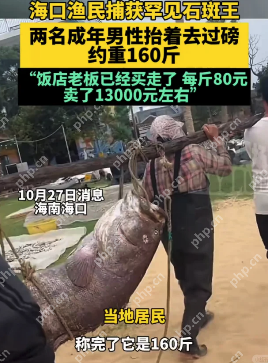 口渔民捕获160斤罕见“石斑王”,卖出一万三千元 - php中文网