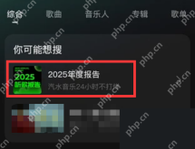 汽水音乐搜索页显示2025年度报告卡片,证明定位听歌统计入口