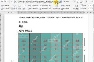 如何在文档表格左侧插入列？设置效果