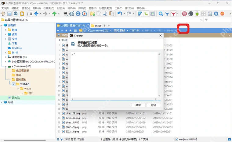 XYplorer 文件列表上方的过滤器按钮。
