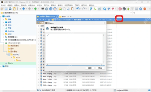 XYplorer 文件列表上方的过滤器按钮。