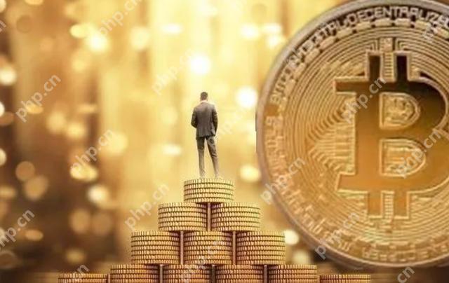 2024最新比特币价钱走势预测 - php中语网