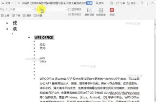 在文档大纲视图中如何降低项目级别?设置效果