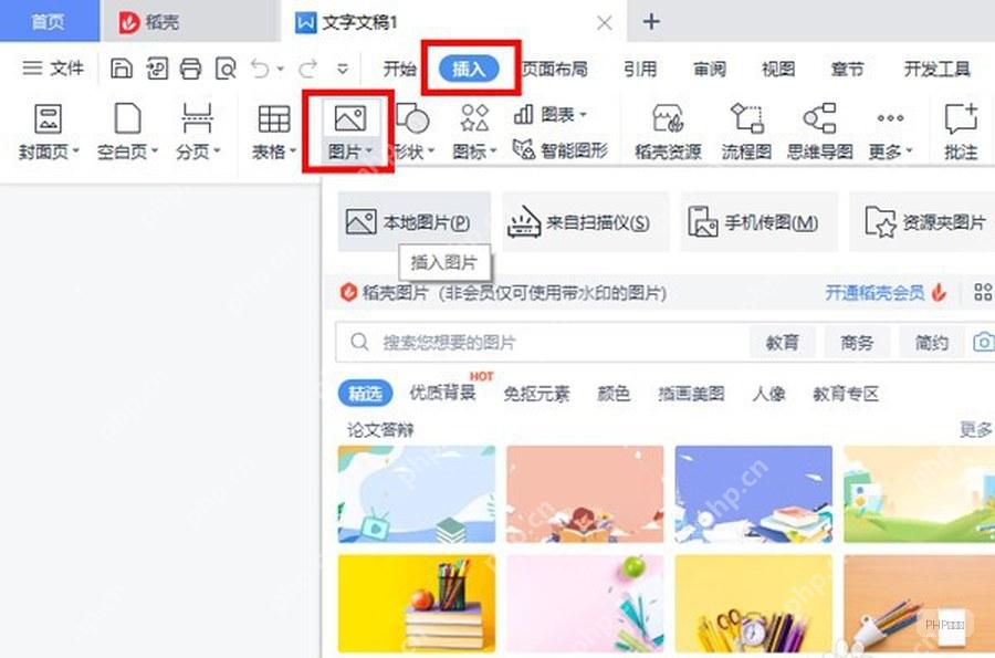 WPS 文字插入选项卡中图片按钮和本地图片入口,用于添加或选中文档图片