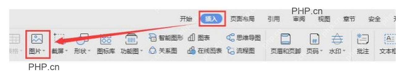 WPS 文字插入选项卡中的图片按钮,用于插入电子印章文件