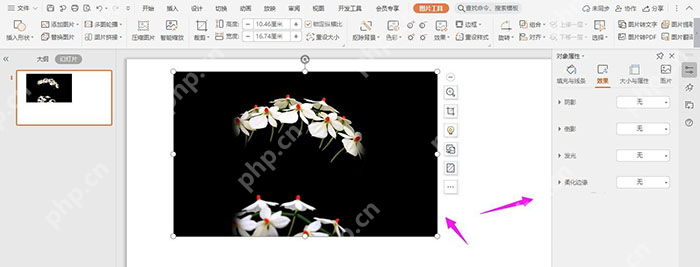 选中图片后进入PPT图片格式设置