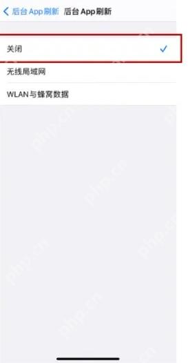 iPhone 后台 App 刷新页面中关闭选项被选中,右侧显示蓝色对勾