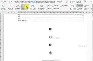 Word在文档大纲视图中如何展开所选项目?入口位置