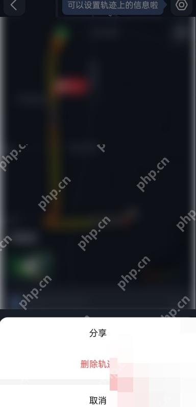 高德地图导航记录详情页底部的删除轨迹确认操作