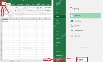Excel 文件菜单中进入选项入口