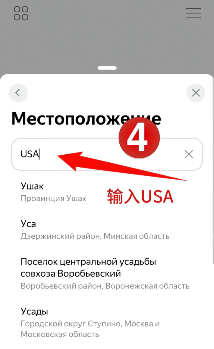 删除原文字后输入USA