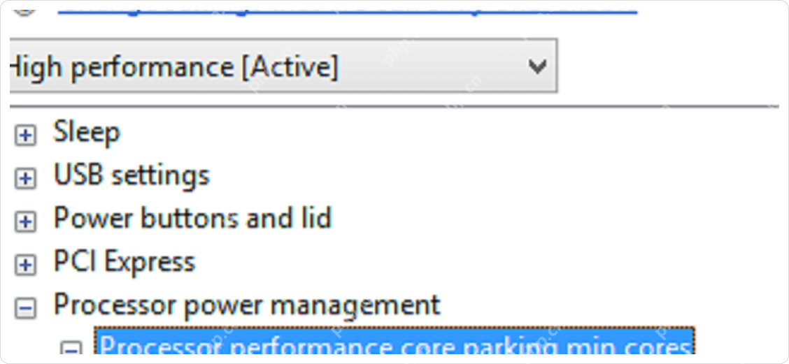 Windows Power Options 中展开 Processor power management。