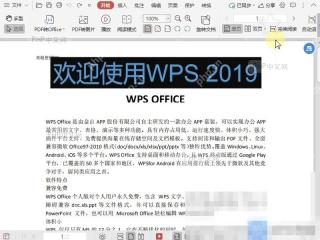 PDF如何退出PDF中的图片编辑模式?设置效果