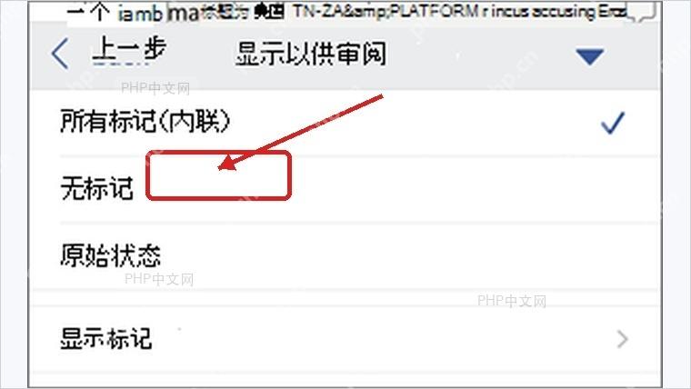 Word显示以供审阅菜单中的无标记选项