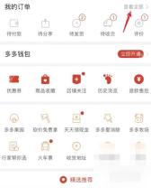 拼多多我的订单里的查看全部入口