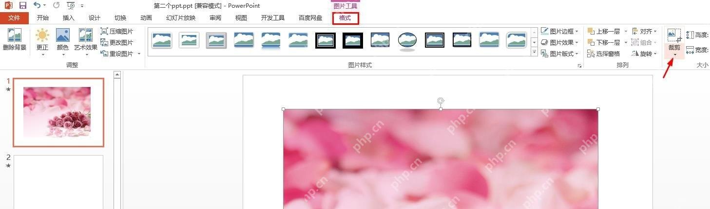 PowerPoint图片工具中的裁剪按钮