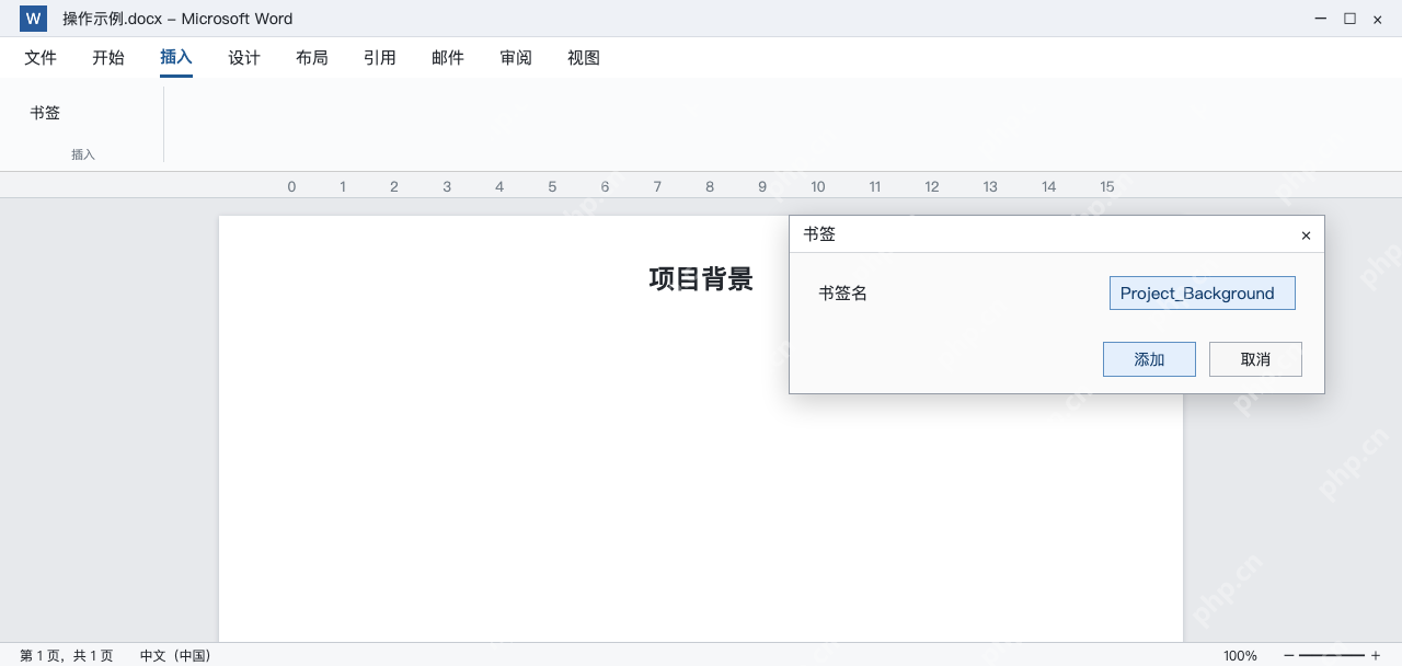 模拟 Word书签对话框输入Project_Background并添加