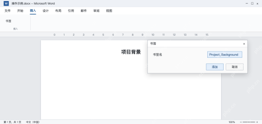 模拟 Word书签对话框输入Project_Background并添加