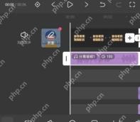 快影怎么分离视频原声第3步:提取独立音频轨道