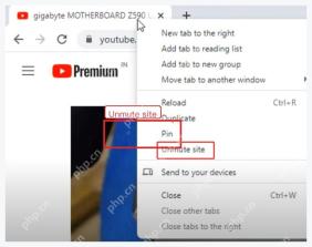 Chrome 标签页右键菜单中的 Unmute site 恢复声音选项
