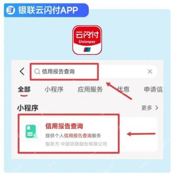 搜索信用报告并进入查询服务