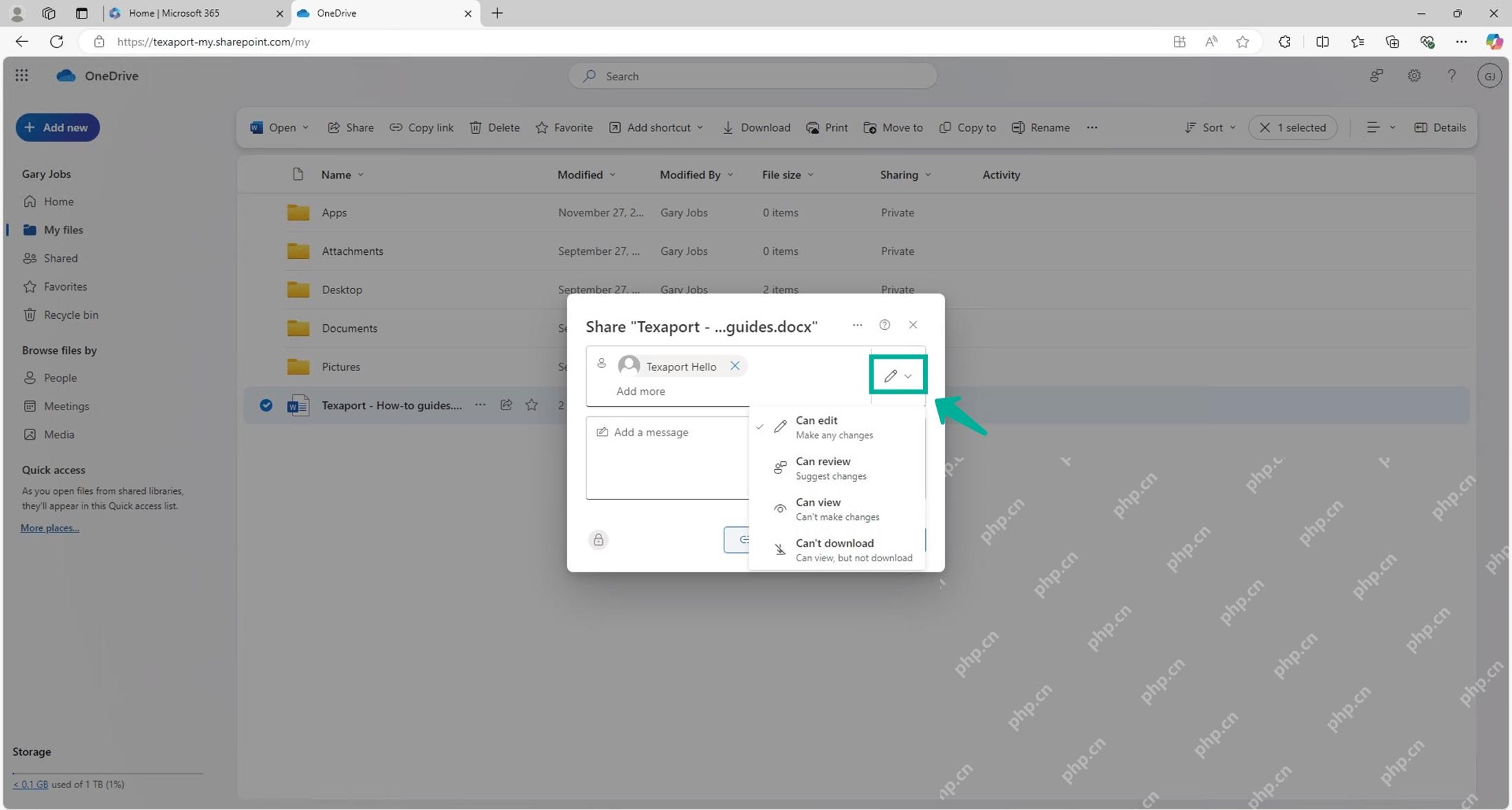 OneDrive Share 权限菜单显示 Can view 和 Can't download，用来判断下载是否被禁止