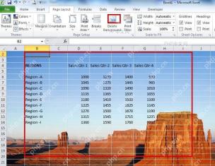 Excel 工作表已经显示背景图片并保留表格内容