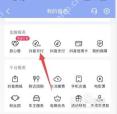 抖音我的钱包里的抖音月付入口