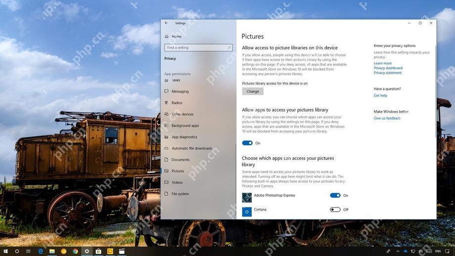 Win10 Privacy Pictures 页面显示 Change 按钮和图片库访问总开关
