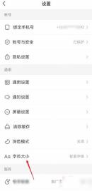 快手极速版设置页点击字体大小