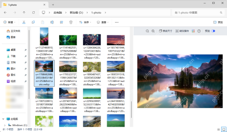 Win11 文件资源管理器右侧显示图片预览窗格