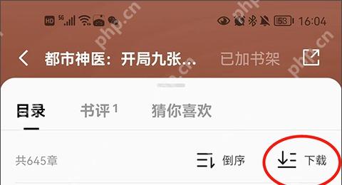番茄小说目录页顶部,可见目录、书评和倒序控制