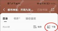 番茄小说目录页顶部,可见目录、书评和倒序控制