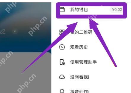 抖音侧边栏我的钱包入口