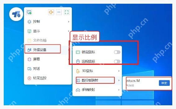 ToDesk Windows 显示菜单中的比例缩放选项