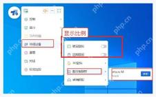 ToDesk Windows 显示菜单中的比例缩放选项