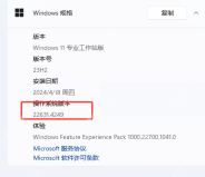 Windows 11 设置关于页中操作系统版本一行显示 22631.4249